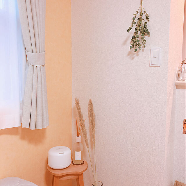 teechanのニトリ-遮熱・遮像・ミラーレースカーテン(アラン 100X133X2) の家具・インテリア写真