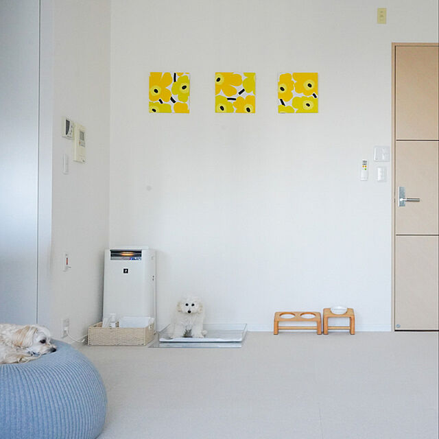 Naoの-単品 ファブリックパネル アリス marimekko PIENIUNIKKO 40×40cm 単品販売 イエロー×グリーン ファブリック ボード マリメッコ ピエニウニッコの家具・インテリア写真