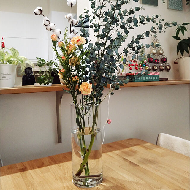 dangomushiのニトリ-フラワーベース シリンダー(30cm) 花瓶 の家具・インテリア写真