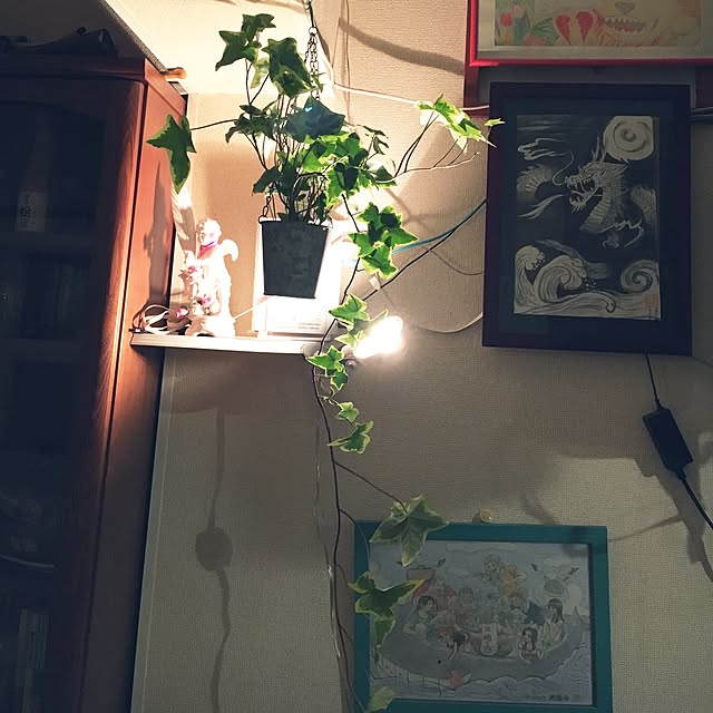GORIRAの観葉植物のパーフェクトグリーン-ヘデラ アイビー ヘリックス 吊り鉢 観葉植物 本物 中型 インテリアの家具・インテリア写真