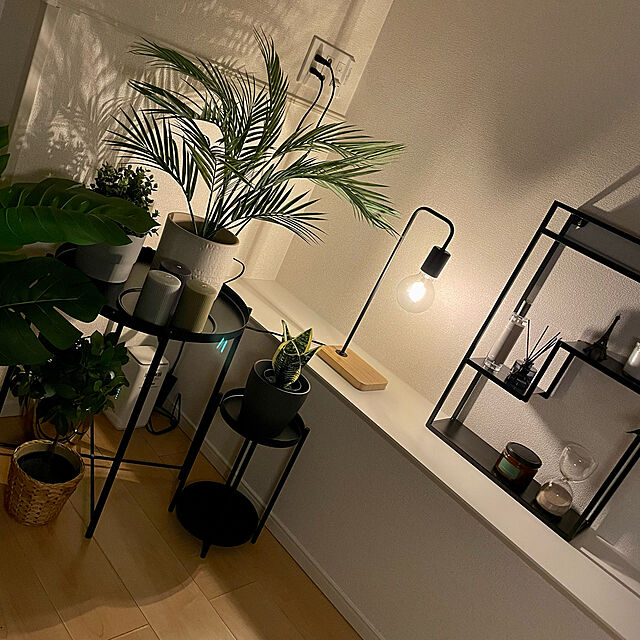 shuaのイケア-FEJKA フェイカ 人工観葉植物の家具・インテリア写真