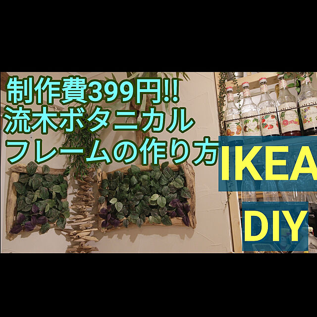 ____kensのIKEA (イケア)-IKEA/イケア FEJKA：アートプラント/壁取り付け型26x26 cm(703.495.44)の家具・インテリア写真