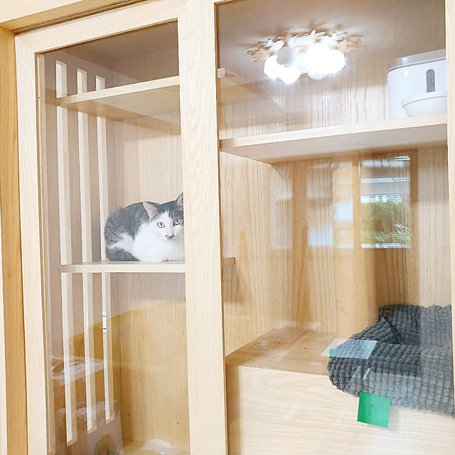 Virvaのイケア-【IKEA Original】LURVIG ペット用クッション 猫/小型犬用 グリーン 33x38 cmの家具・インテリア写真