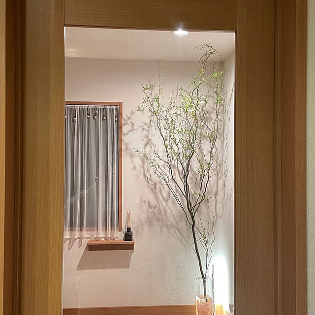 shihoの無印良品-無印良品 壁に付けられる家具 棚 オーク材 幅44×奥行12×高さ10cm 44504994の家具・インテリア写真