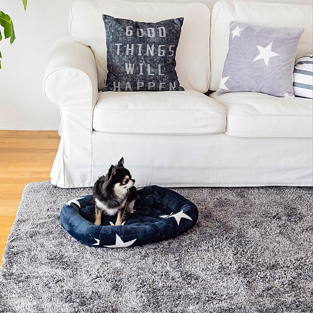 ofucaの-ペット用 ベッド ペット用品 クッション 楕円型　ペットベッド　犬猫　かわいい　送料無料 マイクロファイバーの家具・インテリア写真
