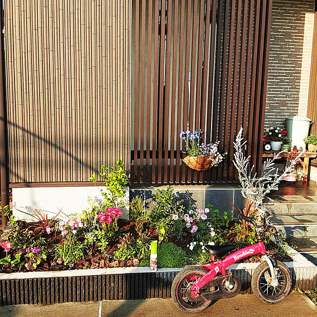 miyupannaの-【中古】Henshin　ＢＩＫＥ　へんしんバイク　レッドの家具・インテリア写真
