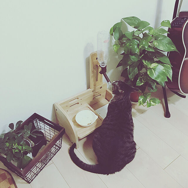 yuuのドギーマン-ドギーマン ウッディーコンパクトダイナー 犬猫用の家具・インテリア写真
