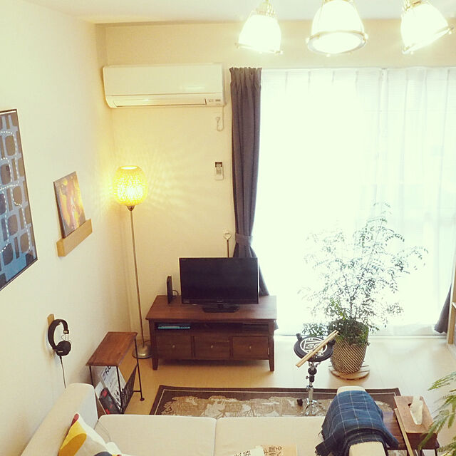 Kazuki___roomの-シマトネリコ デザインの良い テラコッタ 鉢植え （横縞） 株立ち 素焼 陶器鉢 鉢 茶色 茶 こげ茶 ベージュ 苗 苗木 大型 8号 観葉植物の家具・インテリア写真