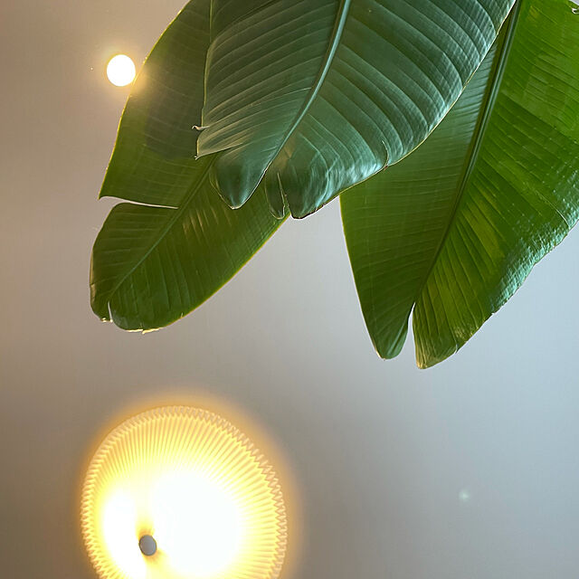 tomo_ppgの-LE KLINT（レ・クリント）シーリング照明 MODEL 26 650mmの家具・インテリア写真