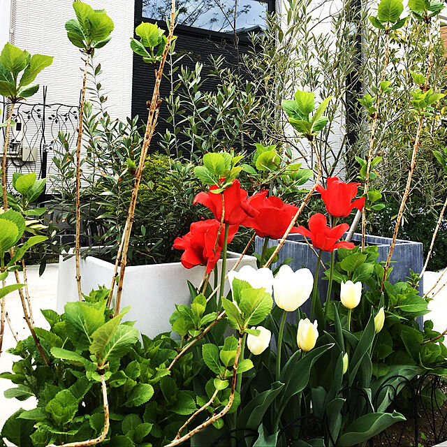 YUKAのタカショー-フラワー花壇フェンス ハート 10枚組の家具・インテリア写真