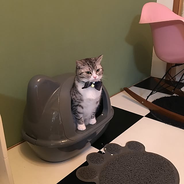 Shojiのゼフィール-ゼフィール　icat　アイキャット　ネコ型トイレット　スコップ付　マットアイボリーの家具・インテリア写真