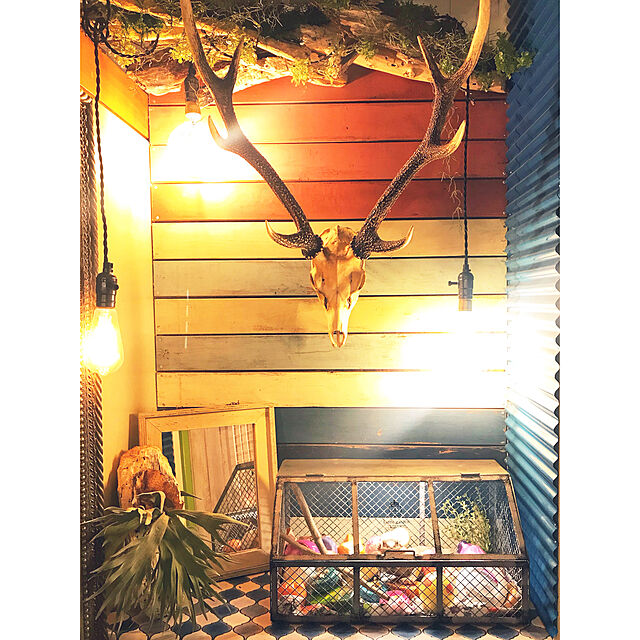 Masaomiの-いなざうるす屋 フェイクグリーン ツンツン葉っぱのコウモリランL 壁飾り 壁掛けインテリア 観葉植物 ウォールデコレーション 緑 壁掛け インテリアの家具・インテリア写真