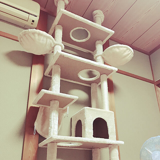 sakuraxsakuの-キャットタワー 突っ張り型キャットタワー 突っ張り おしゃれ 猫タワー 突っ張り 230〜253cm 全面麻紐 キャットタワー 爪とぎの家具・インテリア写真