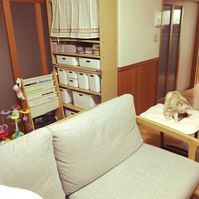 mikuwaのニトリ-収納ケース ソフトNインボックス クォーター・たて型ハーフサイズ用 フタ ホワイト の家具・インテリア写真