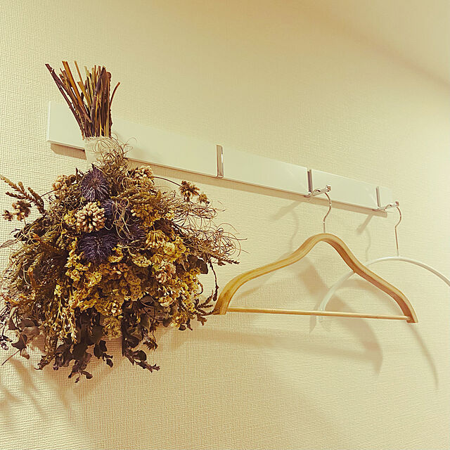 saki_aoiのイケア-TJENARE ティエナレ 洋服ハンガーの家具・インテリア写真