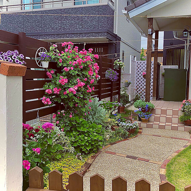 hinamamaの-■良品花壇苗■秋山さんの八重咲きインパチェンスピンクアロマ10.5cmポット苗の家具・インテリア写真