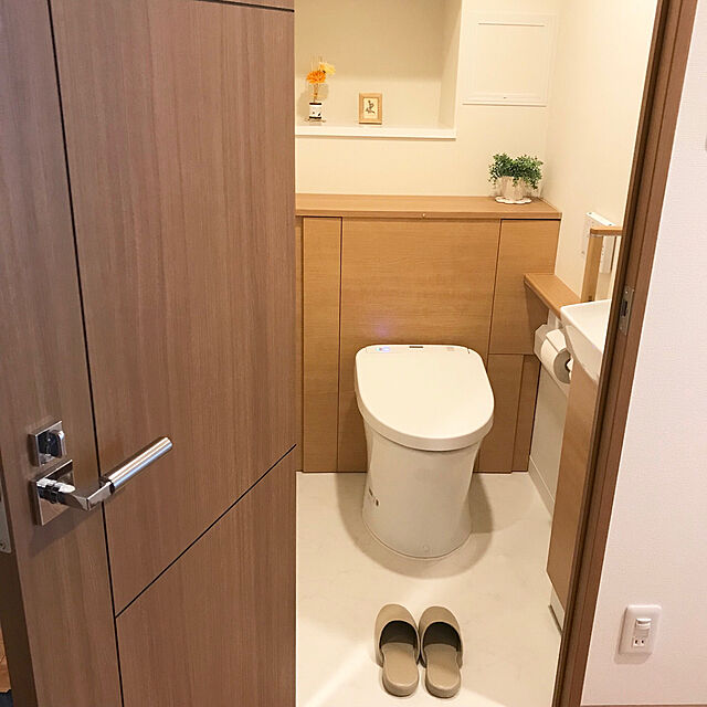 Risaのジョンソン-スクラビングバブル トイレ洗剤 流せるトイレブラシ 本体ハンドル1本+付替用4個の家具・インテリア写真