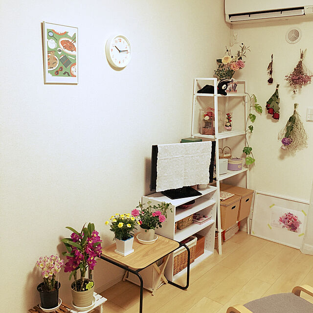 hachiのニトリ-オットマン(LVL3 BR) の家具・インテリア写真