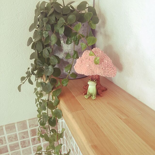 manayuの-コポー　桜の木 置物 小物 オブジェ 桜 さくらの家具・インテリア写真