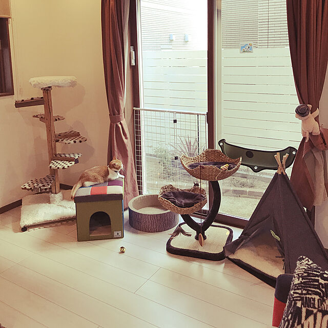 KotarouKunのOBDSPACE-猫 ハンモック ペットベッド 猫ペットハウス 窓 吸盤 取り付け簡単 四季適用 (ベージュ)の家具・インテリア写真