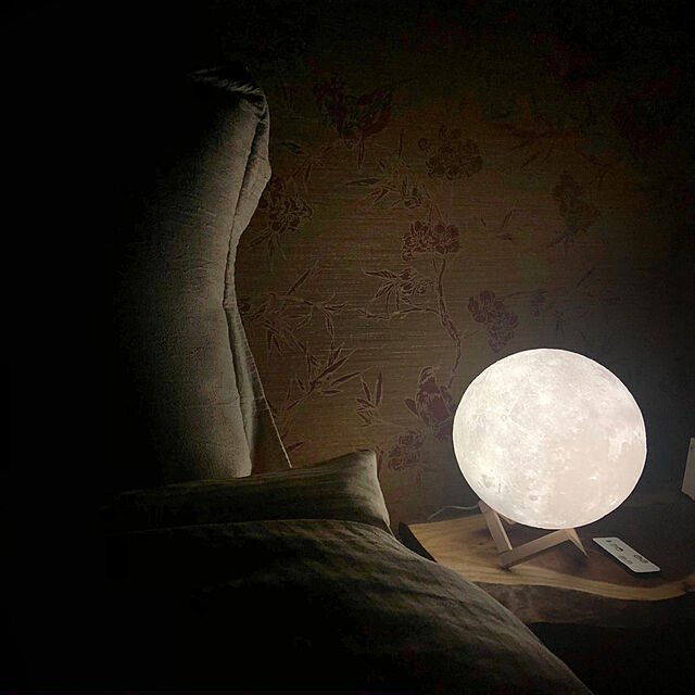 月ライト 22CM ムーンライト 間接照明 おしゃれ 月のランプ 月 あかり ...