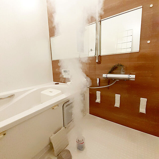 suzuのライオン-ルック お風呂の防カビくん煙剤 3個パックの家具・インテリア写真
