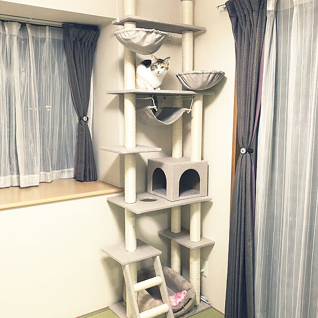 eclairの-25日P14%〜 キャットタワー 突っ張り スリム おしゃれ 高さ230〜253cm 支柱3本 猫 タワー 爪研ぎ 麻紐 つめとぎ ハンモックの家具・インテリア写真