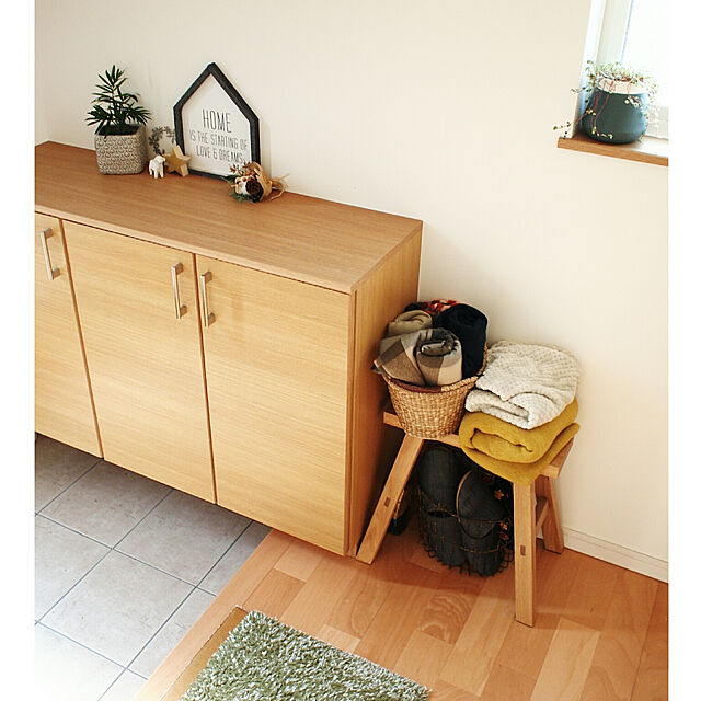 yunohaの-テーブル ヤシ カラー鉢植え4号 育てやすい室内 ヤシ観葉植物 ヤシの木 販売 通販 種類 ヤシの家具・インテリア写真