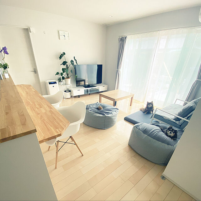 Mikiのニトリ-2人用布張りソファ (エイミーLGY/WH） の家具・インテリア写真