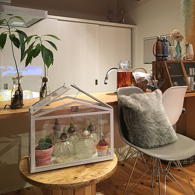 pitaのイケア-IKEA イケア　SOCKER　温室　ホワイト 室内/屋外用　ガーデニング　栽培　輸入の家具・インテリア写真