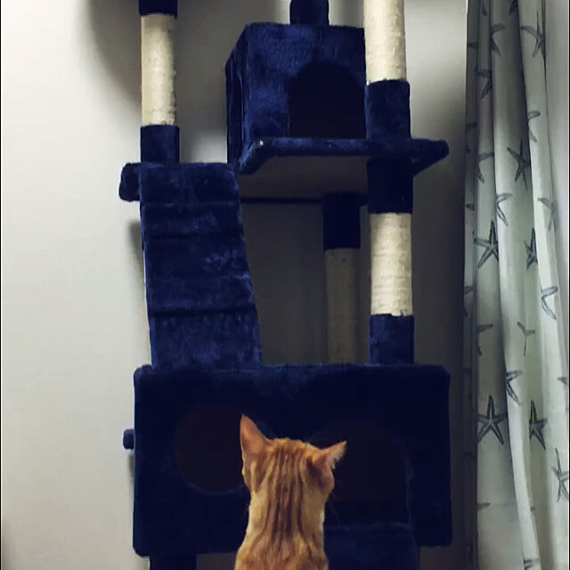 komugiのOSJ-(OSJ)キャットタワー 猫タワー スタンダード式 爪とぎ 麻紐 据え置き ソファーベッド３つ 隠れ家2つ付き 181cm ネイビーブルーの家具・インテリア写真