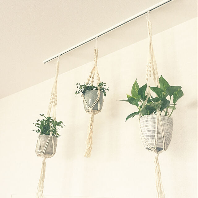Nの-マクラメ プラントハンガー ハンギングプランター 観葉植物 鉢 吊り下げ ロープの家具・インテリア写真