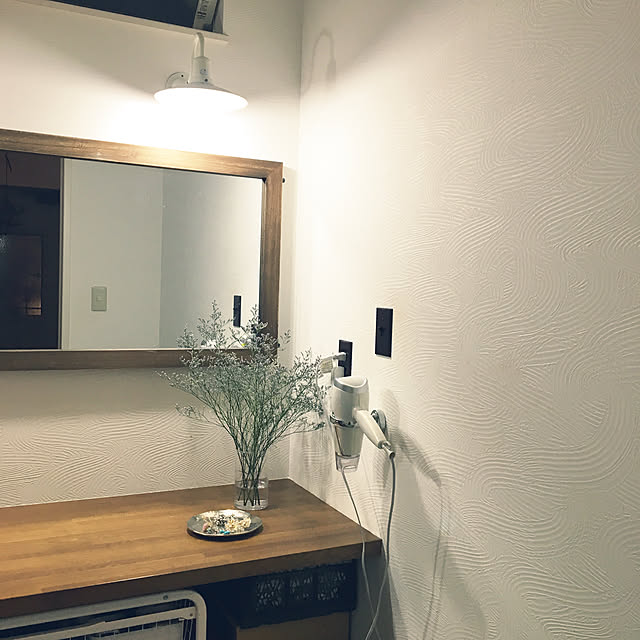 Hitomiの-プラスチック1口スイッチプレート（ダークブラウン）の家具・インテリア写真