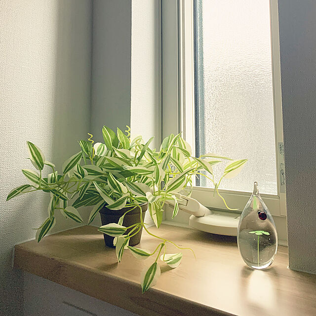 shinの-【人工観葉植物】【テーブルグリーン3点セット】【送料無料】触媒加工品の家具・インテリア写真