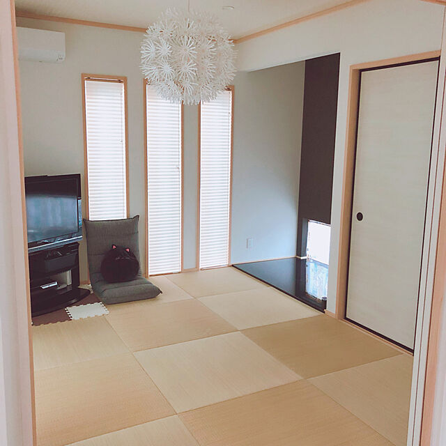 necoのニトリ-クッション(ネコH ダキ) の家具・インテリア写真