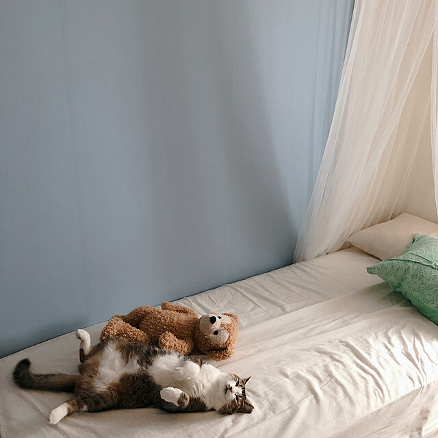 nekomiのイケア-イケア IKEA BRYNE ベッドキャノピー ネット, ホワイトお姫様天蓋ベッドロマンティック 送料無料の家具・インテリア写真