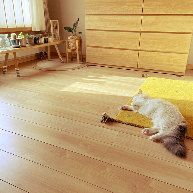 miwaのニトリ-ローチェスト(クエス 140-4LC LBR) の家具・インテリア写真