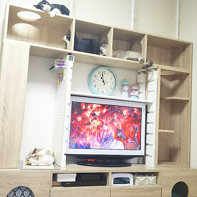 mzk5678910の-[枚数限定クーポン配布中! 6/1 0:00-6/7 9:59] テレビ台 キャットタワー ハイタイプ キャットウォーク 180 猫 壁面収納 ハイタイプ 収納棚 リビング 収納 テレビラック オーディオラック 木製 TV台 おしゃれ 42インチ 42型 50インチ 50型 ねこ ネコの家具・インテリア写真