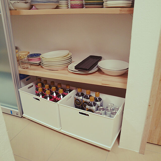 Ayumiの-収納ボックス 収納ケース ナチュラ インボックス L プラスチック 日本製 （ 小物入れ 収納 カラーボックス インナーボックス おもちゃ箱 ）の家具・インテリア写真