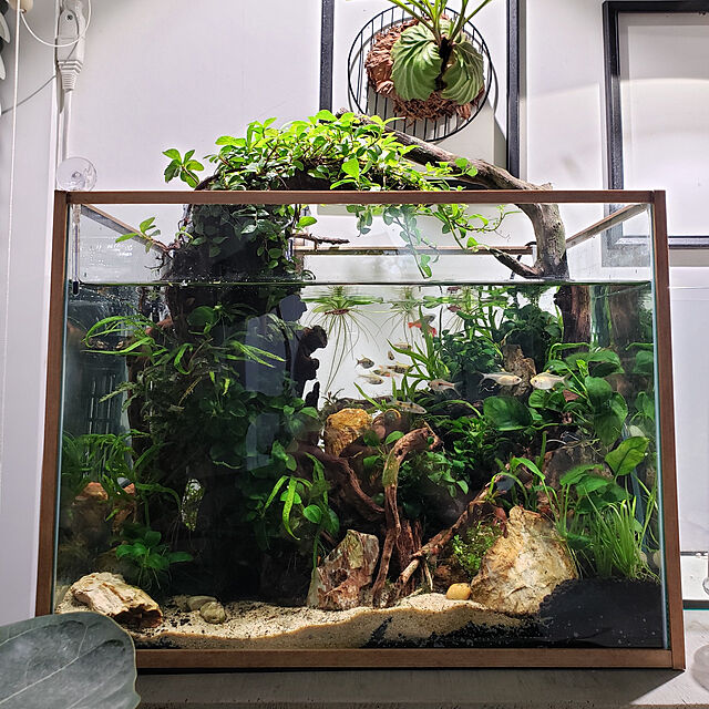 mi-の-【3年保証】BARREL公式 植物育成LEDライト 【NEO TSUKUYOMI LED 20W（ネオツクヨミ）】 ホワイト NEOTSUKUYOMI-20W 最大3年保証の家具・インテリア写真
