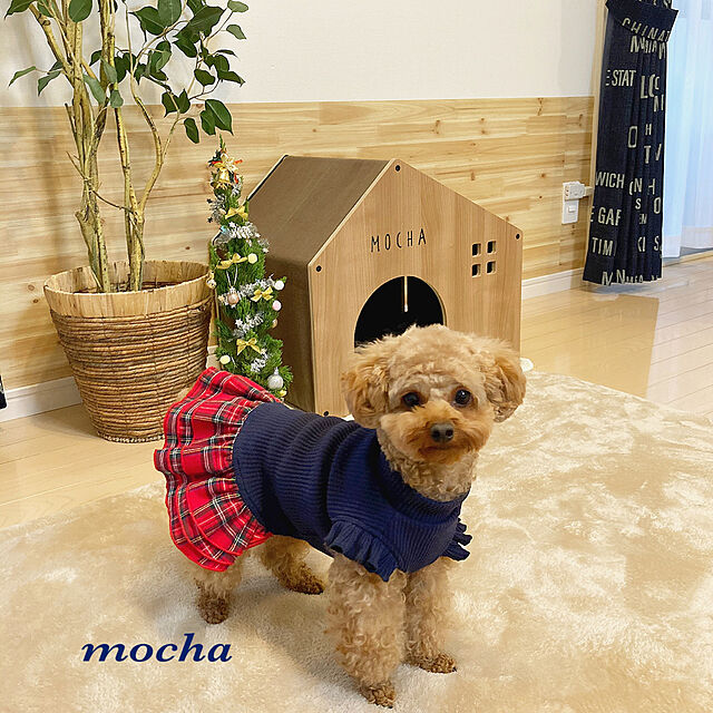 e.and.m.mamaの-■在庫処分■犬服　犬　服　小型犬　チェック　三段フリルワンピース　ネイビーレッドの家具・インテリア写真