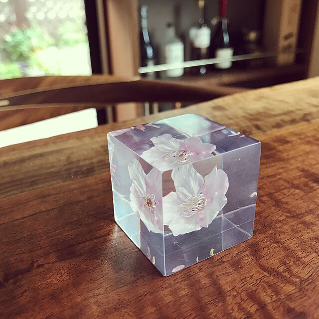 Yumiの-Sola cube センニチコウの家具・インテリア写真