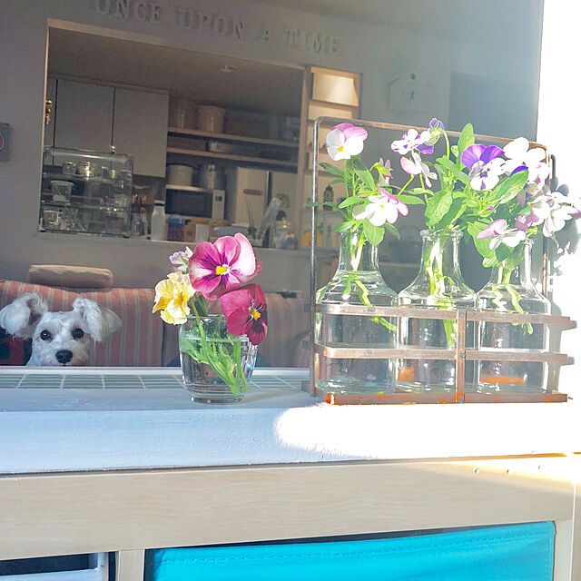 suzyの-リベラリスタ シュガーポット スプーン付きの家具・インテリア写真