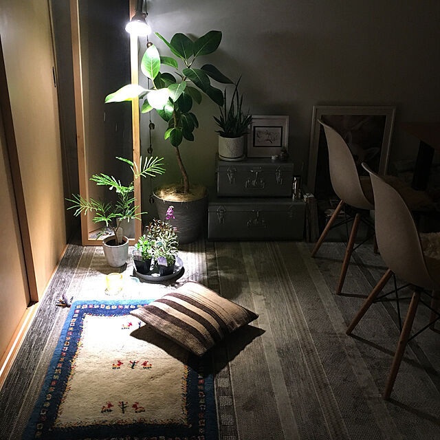 N.P.のBARREL-BARREL公式 植物育成LED 【SUN-18W×E26 PLANT CLIP-A 】 セット販売 set-03の家具・インテリア写真