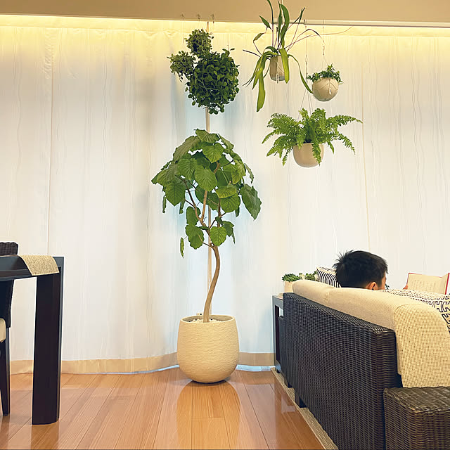 写真付きレビュー キントー 植木鉢 プラントポット 14cm Kinto ハンギングプランター 吊り鉢 プラントハンガー 植木鉢 壁掛け 吊るす 吊り下げ おしゃれ 観葉植物 屋内 室内 店舗 ディスプレイ お店 多肉植物 底穴 鉢カバー 39ショップ の通販商品 口コミ情報