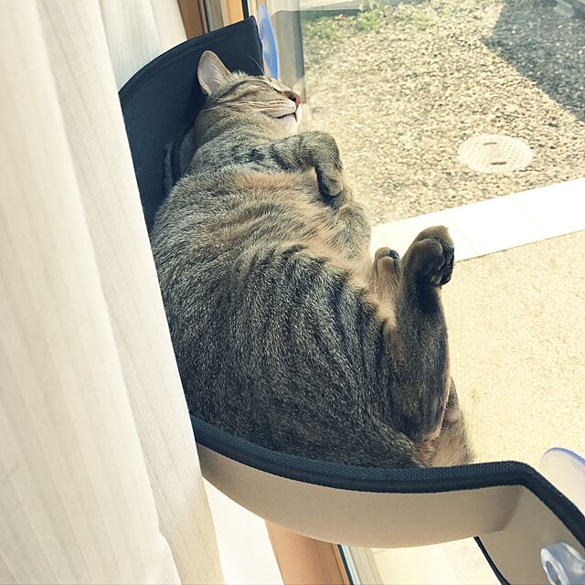 yuki0511の-MOUNT WINDOW BED [マウントウィンドウベッド]【グリーン】エアバギー猫用 ベッド【送料無料】の家具・インテリア写真