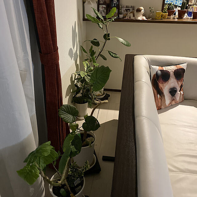 emiのニトリ-リビングダイニングソファ(カウチソファ NSクリーン プレッサ WH) の家具・インテリア写真