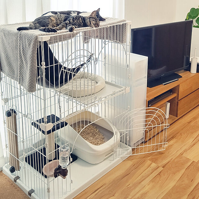 hihaのユニチャーム-デオトイレ 本体セット ハーフ ナチュラルアイボリー 猫の家具・インテリア写真
