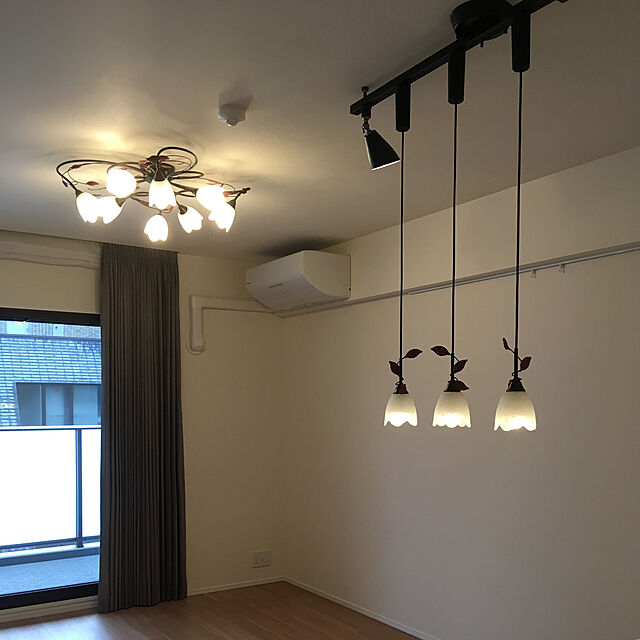y.murasyのオーデリック-オーデリック 簡易取付ライティングダクトレール LED専用 可動タイプ ショートタイプ リモコン付 ブラック OA253362の家具・インテリア写真