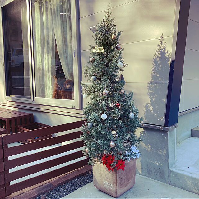 kirakiraのスパイス-SPICE OF LIFE(スパイス) クリスマス ツリーオーナメント 5cm ボール 17個セット アソート デコレーション ピンク GEXK3039PKの家具・インテリア写真